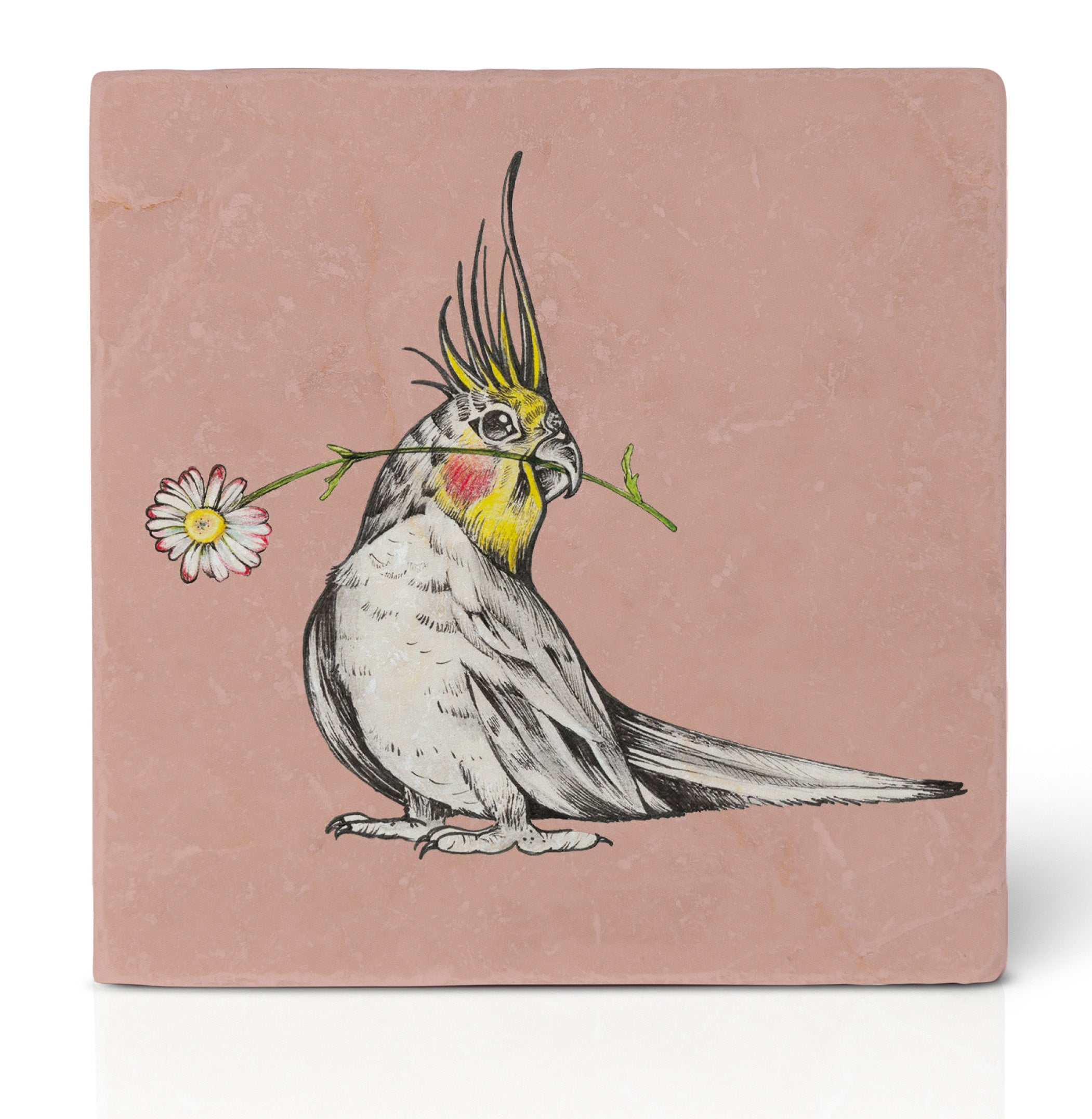 Fliesenuntersetzer – Blumensittich