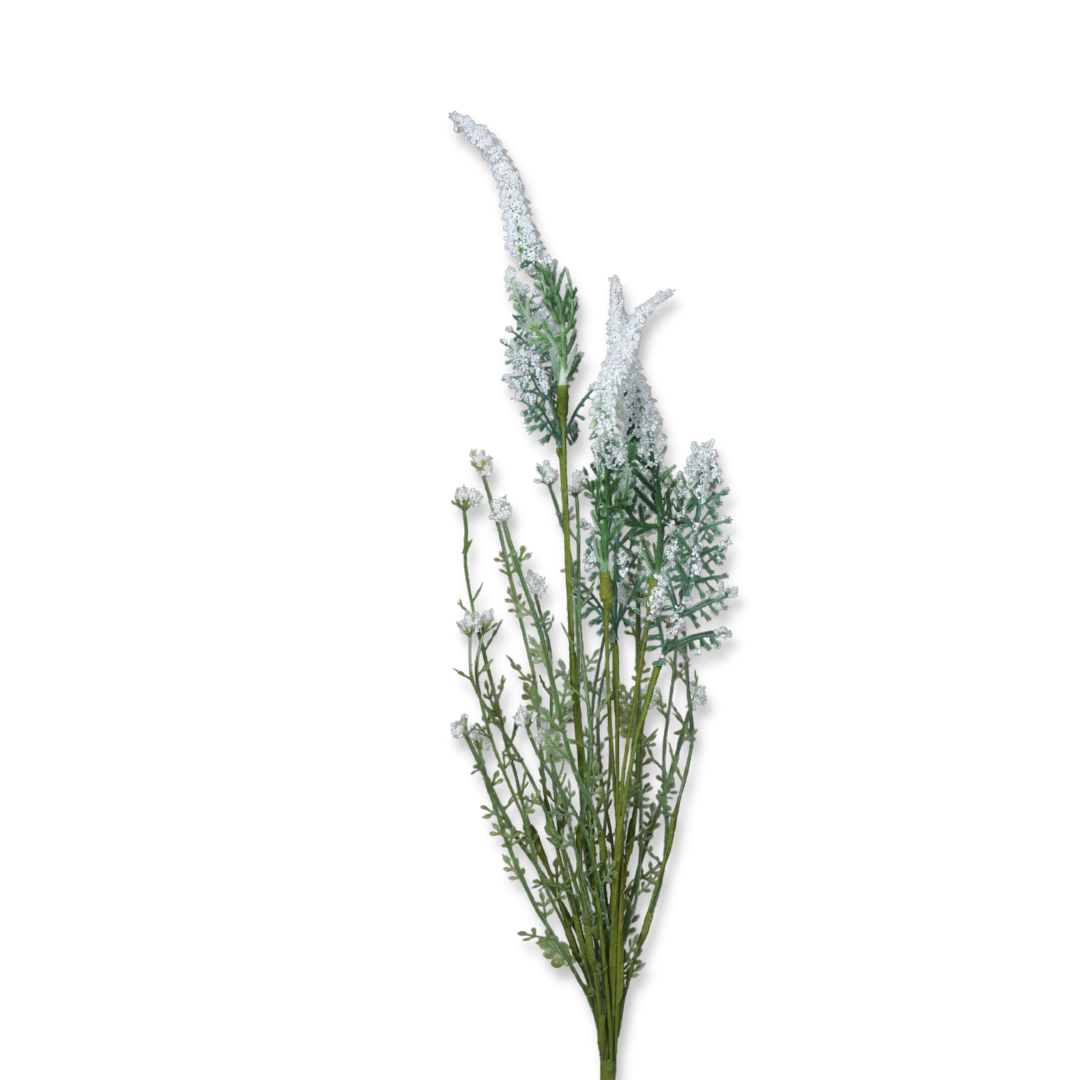 Lavendel Busch Weiß