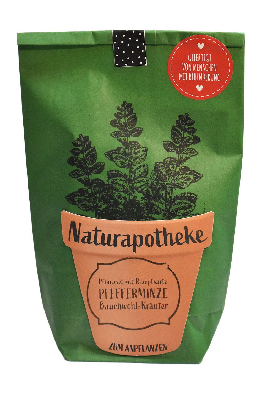 DIY Naturapotheke - Pfefferminze zum Anpflanzen und Genießen