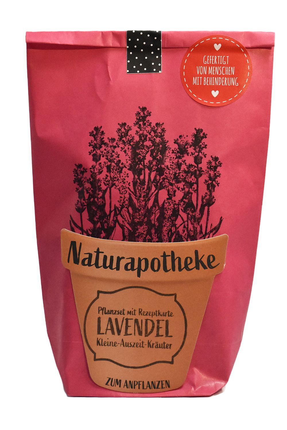 DIY Naturapotheke - Lavendel zum Anpflanzen