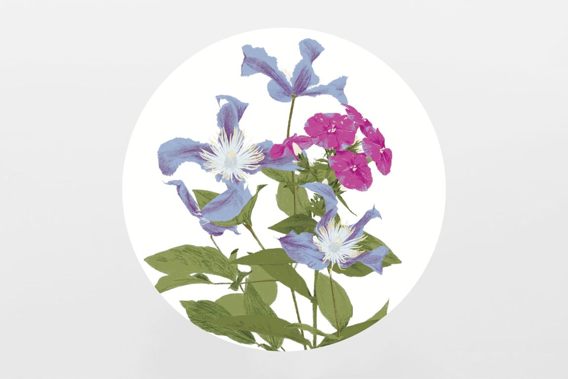 Aufkleber-Set mit 12 Blumen Aufklebern Clematis & Phlox