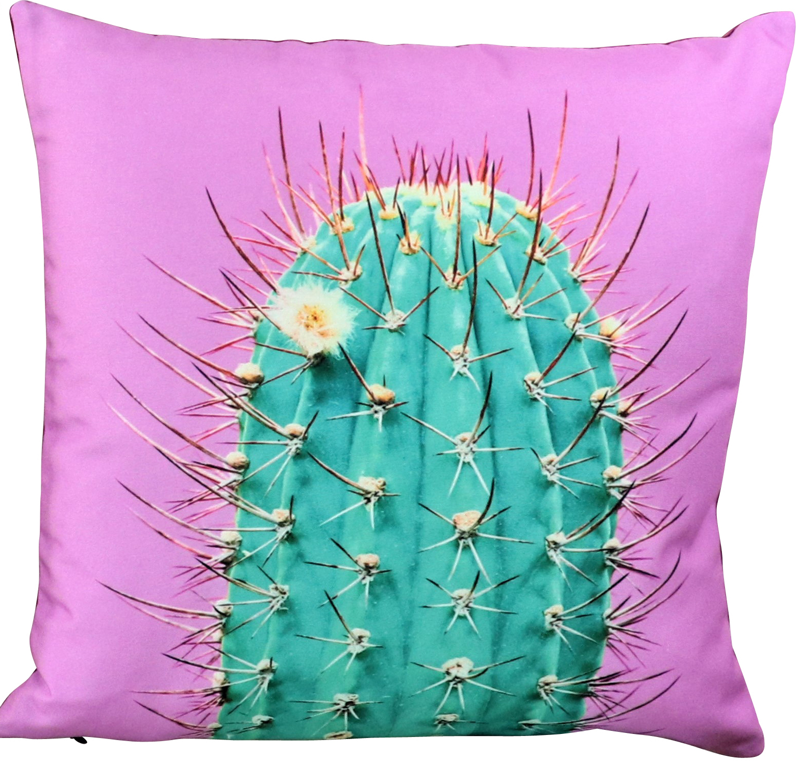 Kissenhüllen Crazy Kaktus 