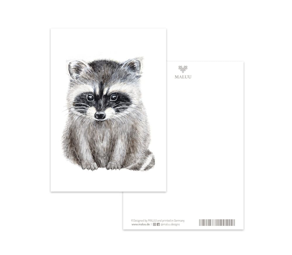 Postkarte Racoon