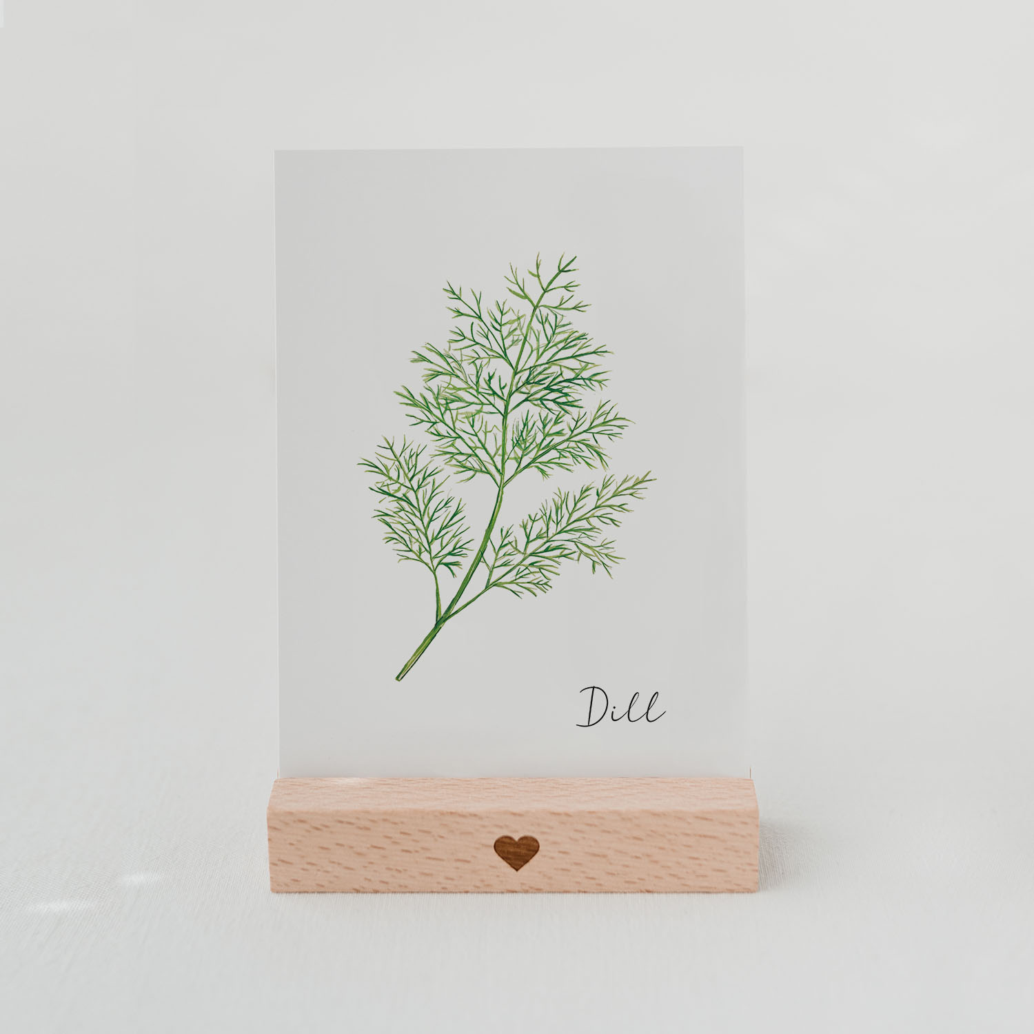 Postkarte Kräuterkarte Dill   