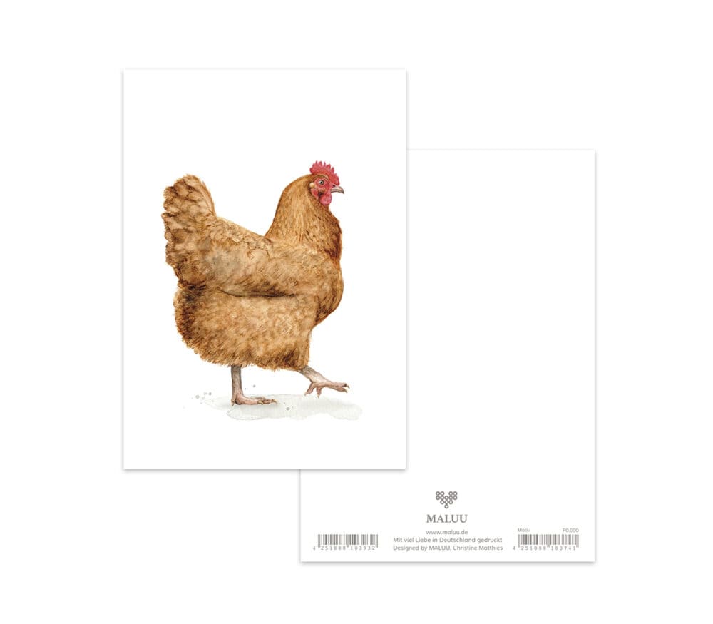 Postkarte Catwalk Chicken