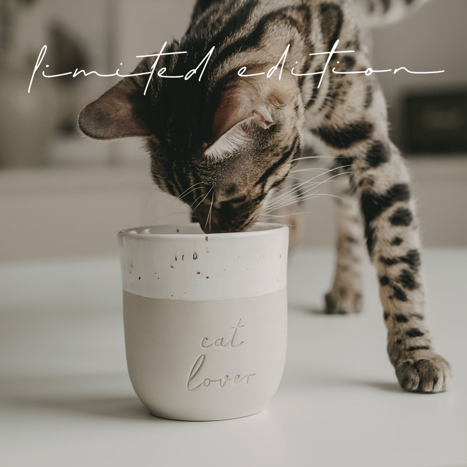 Becher Limited Edition "Cat Lover"